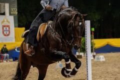 001-NICOLE-SALTO