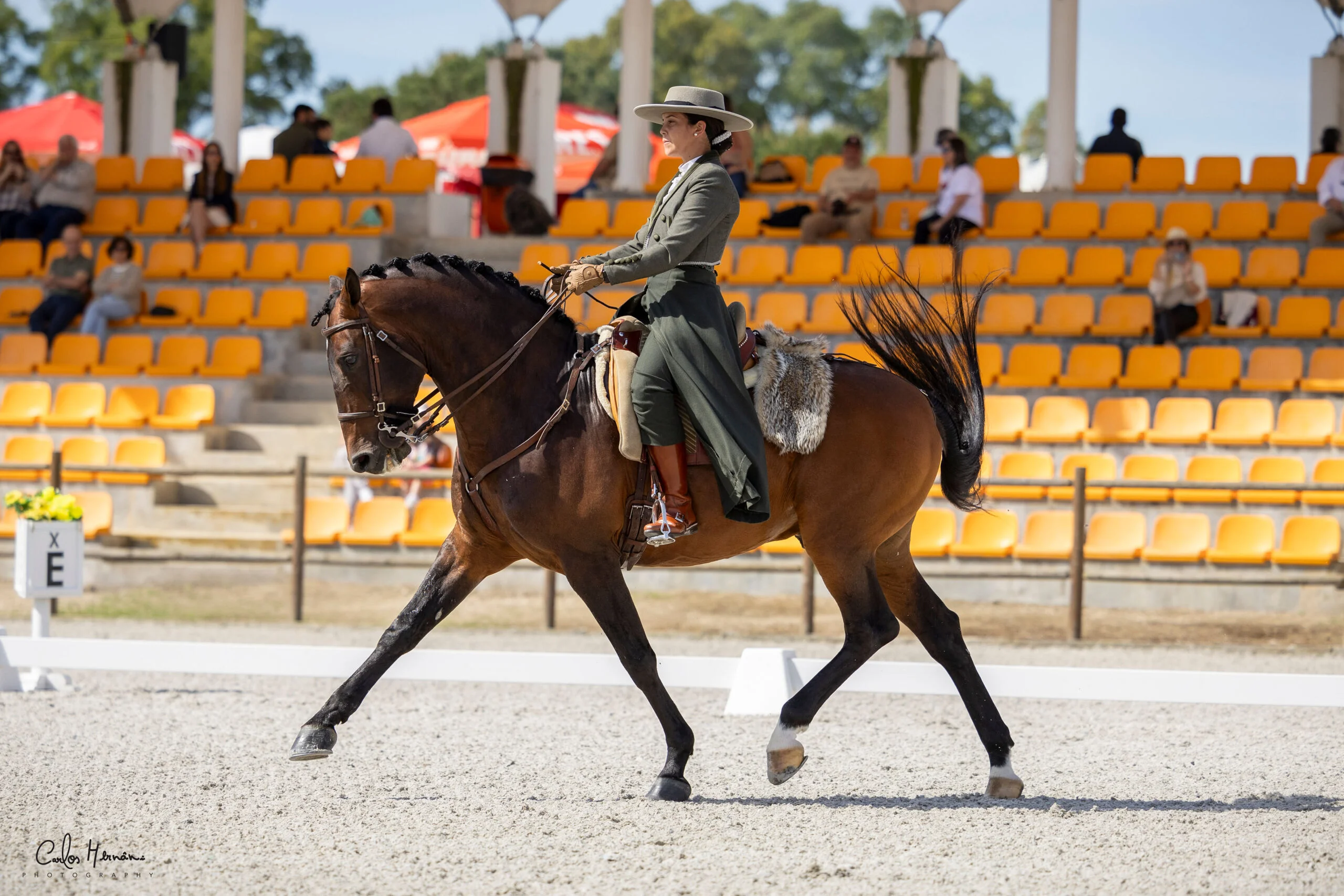 Clinics Lusitano Academy