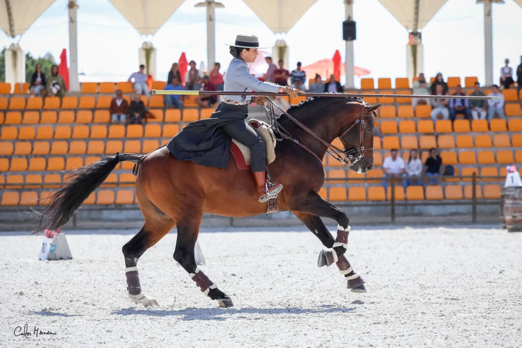 Clinics Lusitano Academy